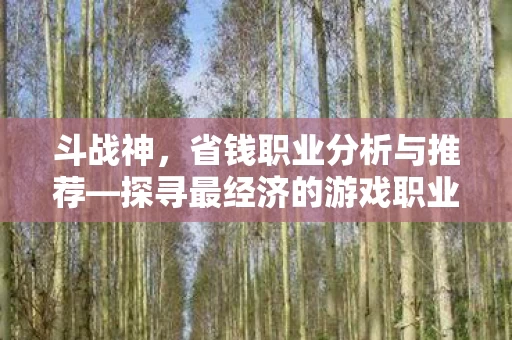 探寻最经济的游戏职业之路图片