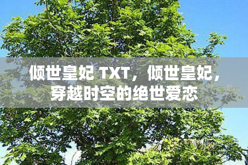 倾世皇妃 TXT，倾世皇妃，穿越时空的绝世爱恋