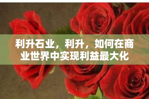 利升石业，利升，如何在商业世界中实现利益最大化