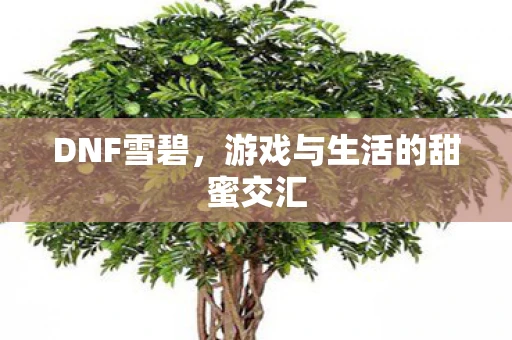 DNF雪碧，游戏与生活的甜蜜交汇