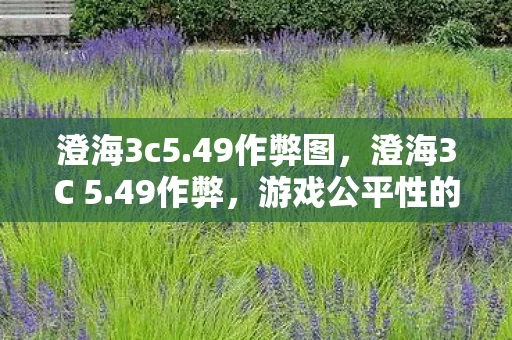 澄海3c5.49作弊图，澄海3C 5.49作弊，游戏公平性的警钟