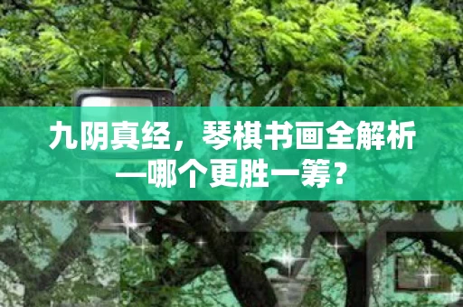 琴棋书画全解析图片