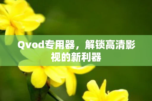 Qvod专用器，解锁高清影视的新利器