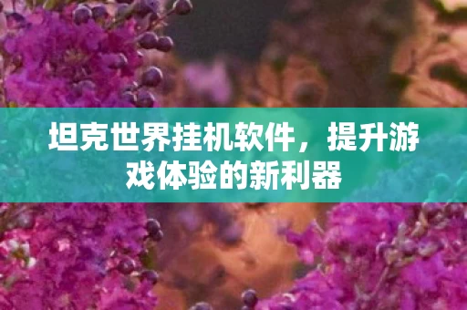 提升游戏体验的新利器图片