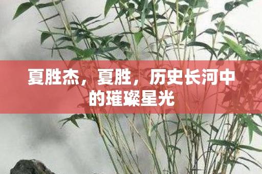 夏胜杰，夏胜，历史长河中的璀璨星光