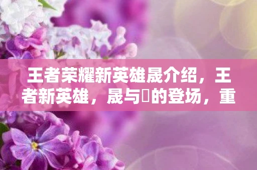 王者荣耀新英雄晟介绍，王者新英雄，晟与暃的登场，重塑峡谷格局