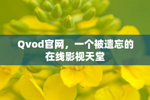 Qvod官网，一个被遗忘的在线影视天堂