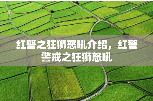 红警之狂狮怒吼介绍，红警警戒之狂狮怒吼