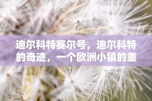 迪尔科特赛尔号，迪尔科特的奇迹，一个欧洲小镇的重生故事