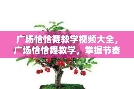 广场恰恰舞教学视频大全，广场恰恰舞教学，掌握节奏，跳出活力