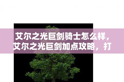 艾尔之光巨剑骑士怎么样，艾尔之光巨剑加点攻略，打造最强近战武器