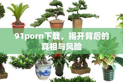 91porn下载，揭开背后的真相与风险