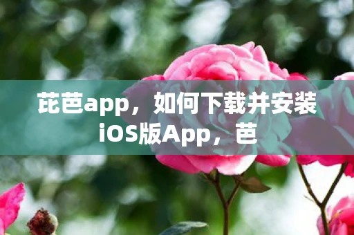 芘芭app，如何下载并安装iOS版App，芭