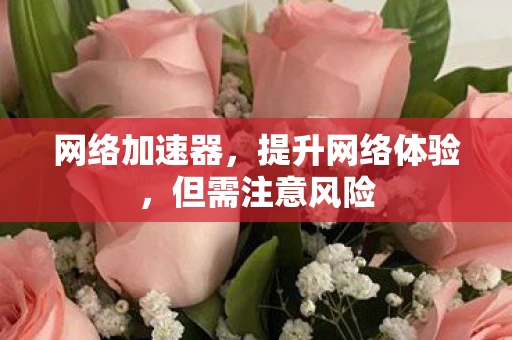 网络加速器，提升网络体验，但需注意风险