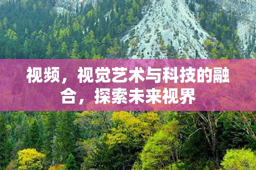 视频，视觉艺术与科技的融合，探索未来视界