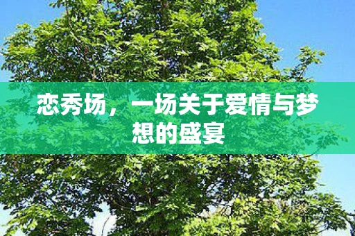 恋秀场，一场关于爱情与梦想的盛宴