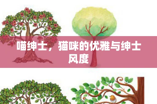 喵绅士，猫咪的优雅与绅士风度