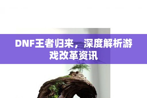 深度解析游戏改革资讯图片
