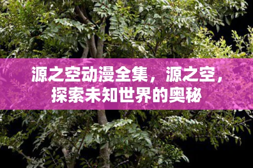 源之空动漫全集，源之空，探索未知世界的奥秘