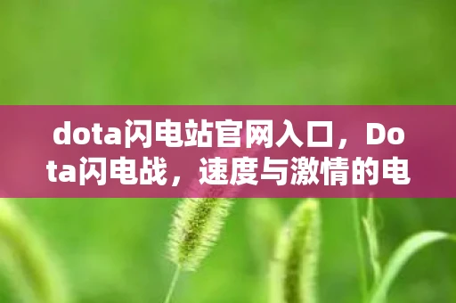 dota闪电站官网入口，Dota闪电战，速度与激情的电竞盛宴