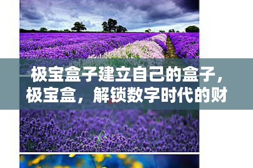 极宝盒子建立自己的盒子，极宝盒，解锁数字时代的财富密码