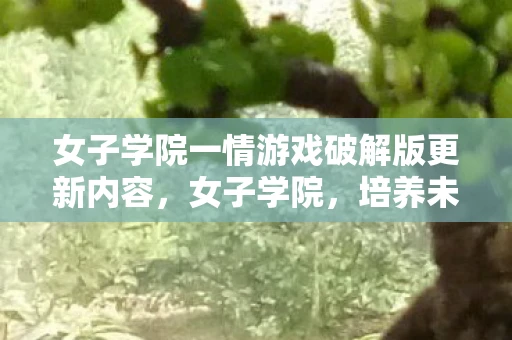 女子学院一情游戏破解版更新内容，女子学院，培养未来领袖的摇篮