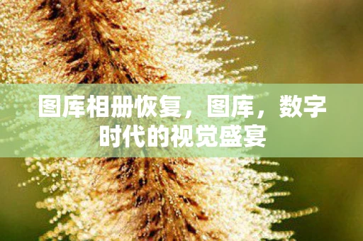 图库相册恢复，图库，数字时代的视觉盛宴