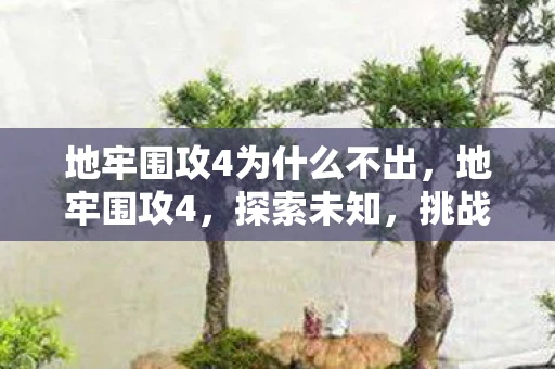 地牢围攻4为什么不出，地牢围攻4，探索未知，挑战极限