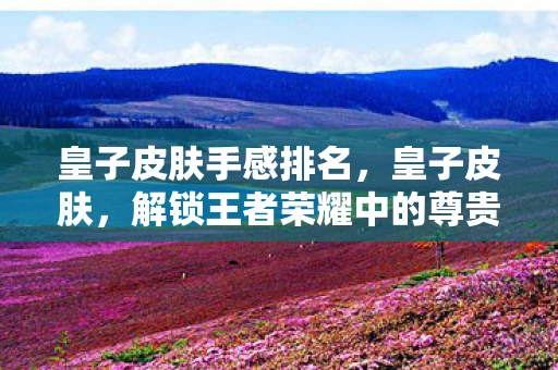 皇子皮肤手感排名，皇子皮肤，解锁王者荣耀中的尊贵身份