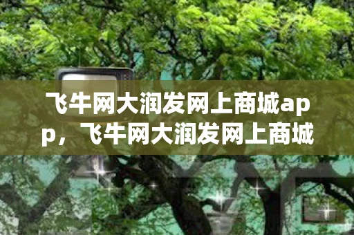 飞牛网大润发网上商城app，飞牛网大润发网上商城，重塑购物体验的新篇章