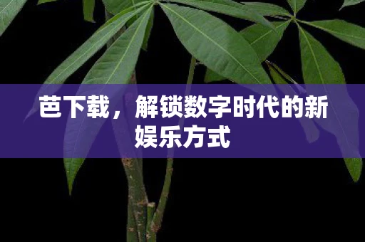 芭下载，解锁数字时代的新娱乐方式