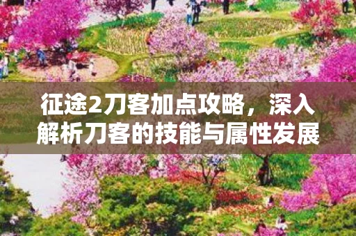 深入解析刀客的技能与属性发展图片
