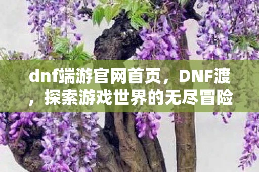 dnf端游官网首页，DNF渡，探索游戏世界的无尽冒险