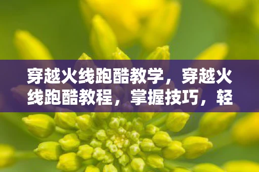 穿越火线跑酷教学，穿越火线跑酷教程，掌握技巧，轻松成为跑酷高手