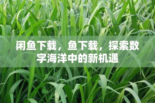 闲鱼下载，鱼下载，探索数字海洋中的新机遇