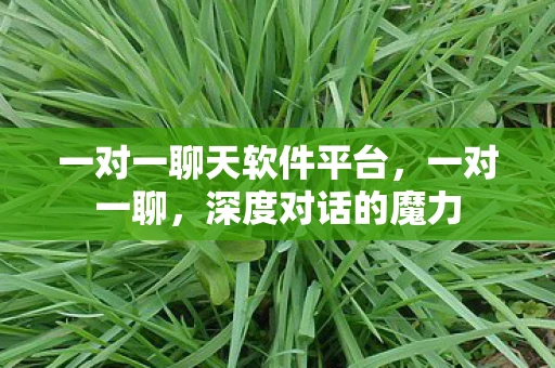 一对一聊天软件平台，一对一聊，深度对话的魔力