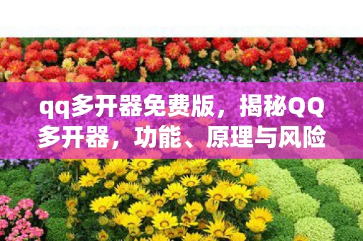 qq多开器免费版，揭秘QQ多开器，功能、原理与风险