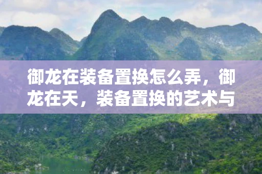 御龙在装备置换怎么弄，御龙在天，装备置换的艺术与策略