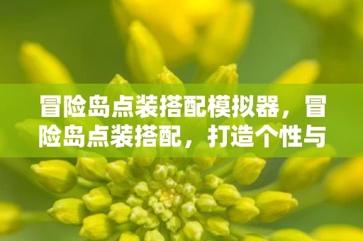 冒险岛点装搭配模拟器,冒险岛点装搭配,打造个性与实力并存的时尚风格 冒险岛点装搭配模拟器,冒险岛点装搭配,打造个性与实力并存的时尚风格