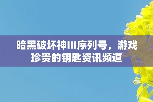 暗黑破坏神III序列号图片