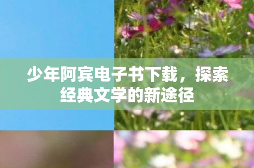 少年阿宾电子书下载，探索经典文学的新途径