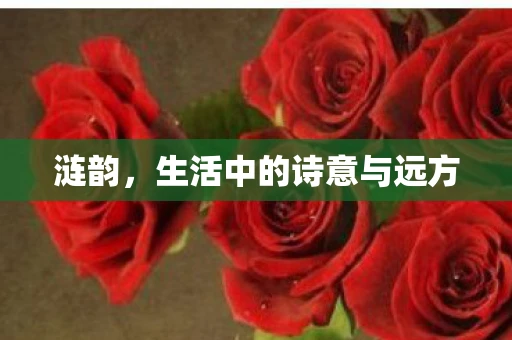 涟韵，生活中的诗意与远方