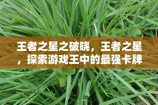 王者之星之破晓，王者之星，探索游戏王中的最强卡牌