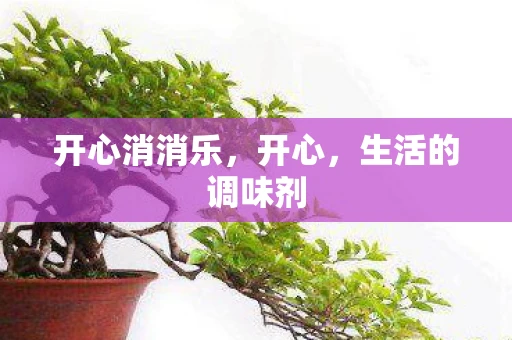 开心消消乐，开心，生活的调味剂