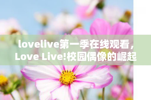 lovelive第一季在线观看，Love Live!校园偶像的崛起，第一季观后感
