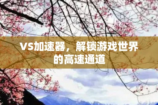 VS加速器，解锁游戏世界的高速通道