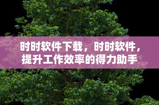时时软件下载，时时软件，提升工作效率的得力助手