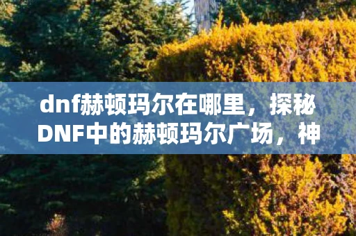 dnf赫顿玛尔在哪里，探秘DNF中的赫顿玛尔广场，神秘而充满机遇的冒险之地