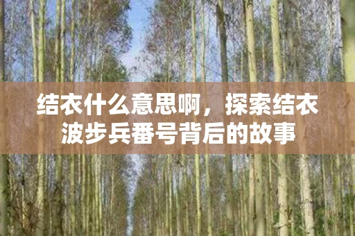 结衣什么意思啊，探索结衣波步兵番号背后的故事