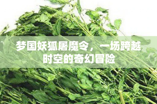 梦国妖狐屠魔令，一场跨越时空的奇幻冒险